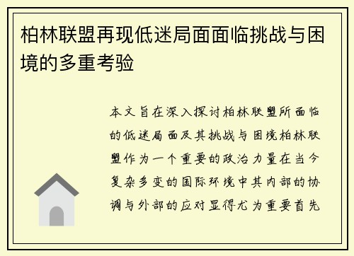柏林联盟再现低迷局面面临挑战与困境的多重考验