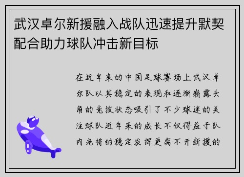 武汉卓尔新援融入战队迅速提升默契配合助力球队冲击新目标
